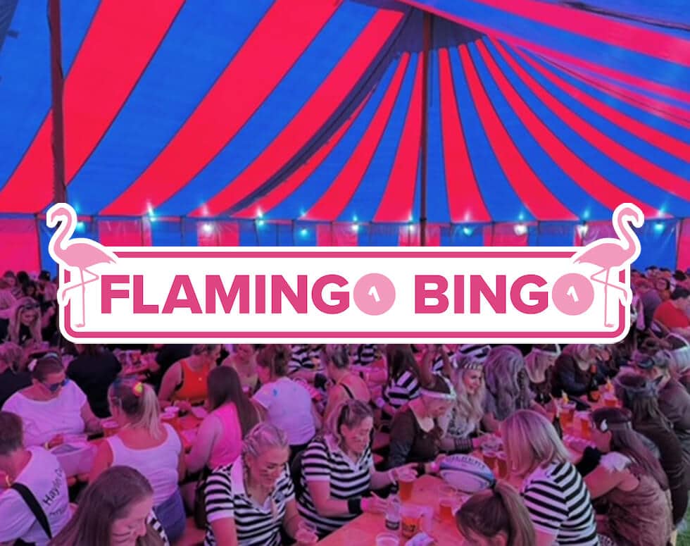 Flamingo Bingo