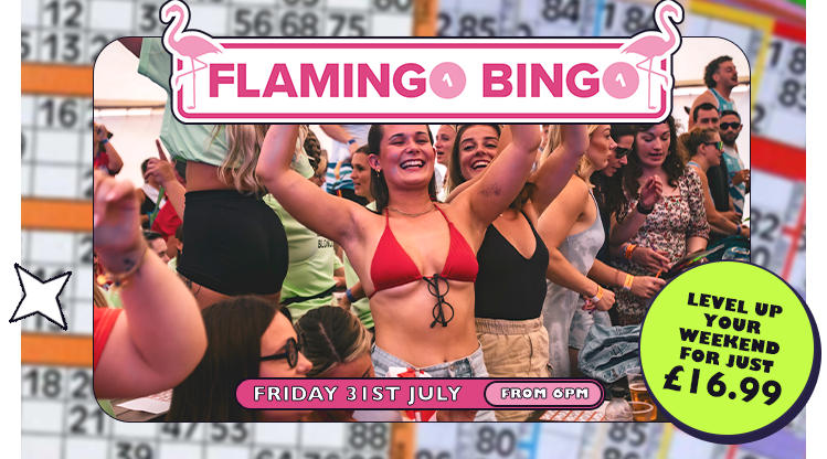 Flamingo Bingo